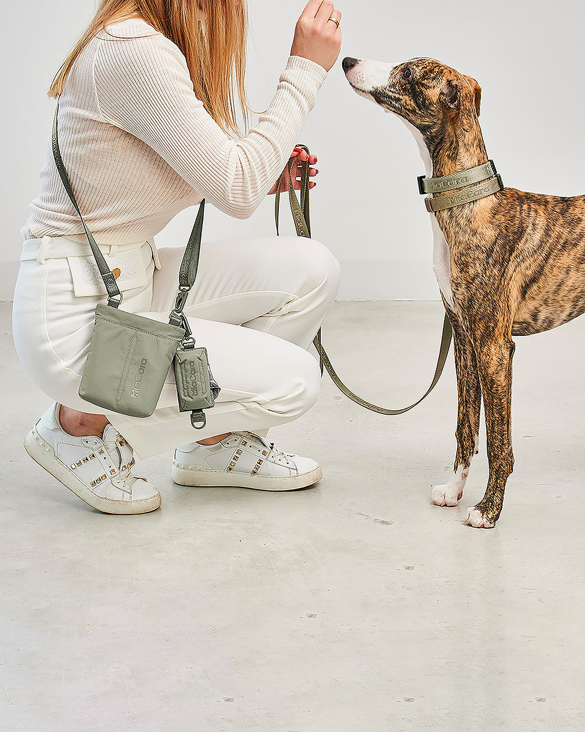 SACCHETTO DOG POO BAG HOLDER| נרתיק לשקיות איסוף לכלב