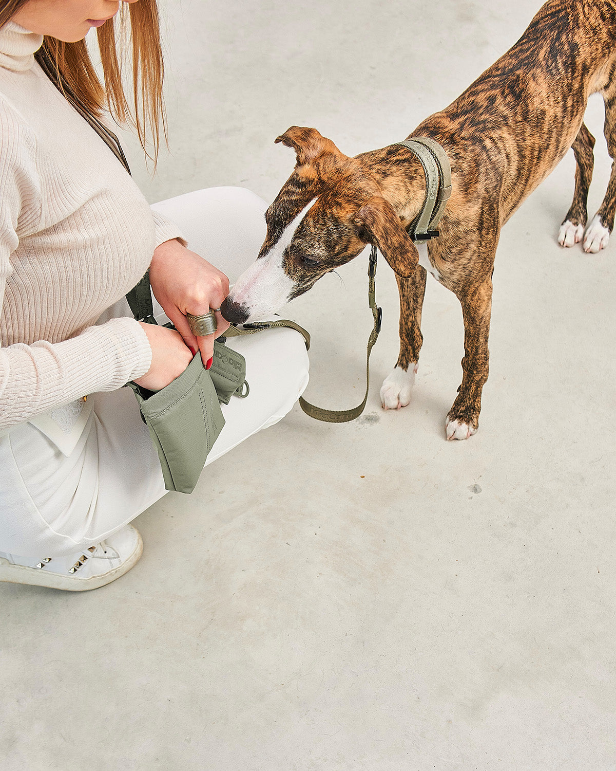 GUSTO TREAT BAG | נרתיק חטיפים לכלב