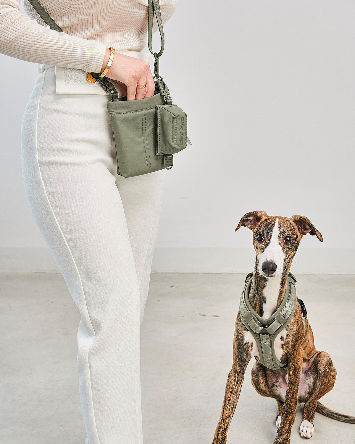 SACCHETTO DOG POO BAG HOLDER| נרתיק לשקיות איסוף לכלב