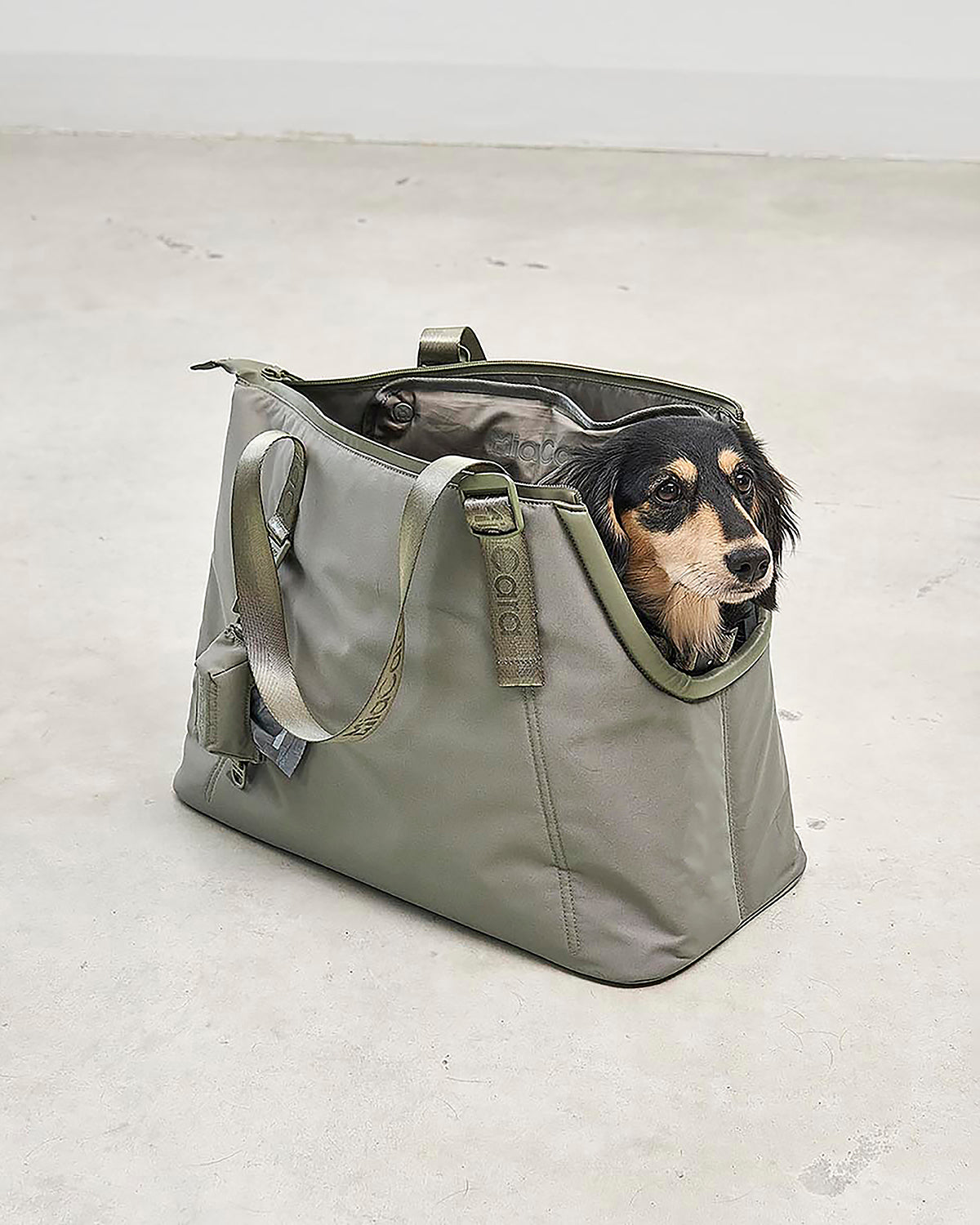 SPORTA DOG CARRIER BAG | תיק נשיאה לכלב