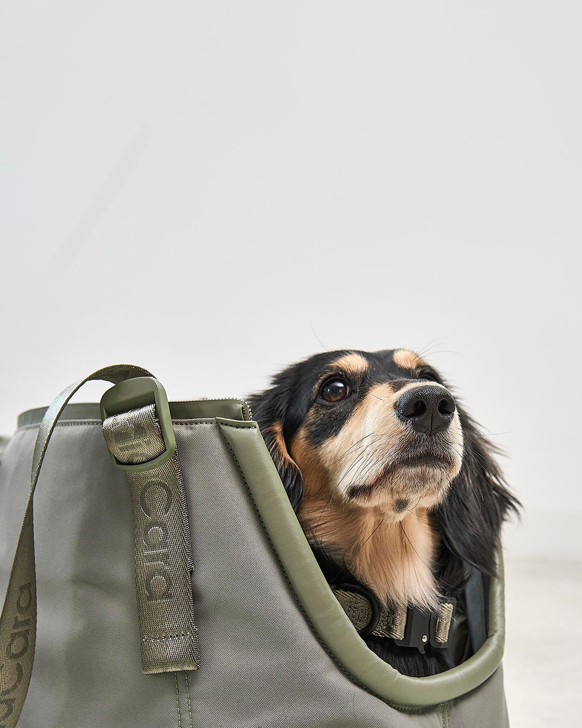 SPORTA DOG CARRIER BAG | תיק נשיאה לכלב