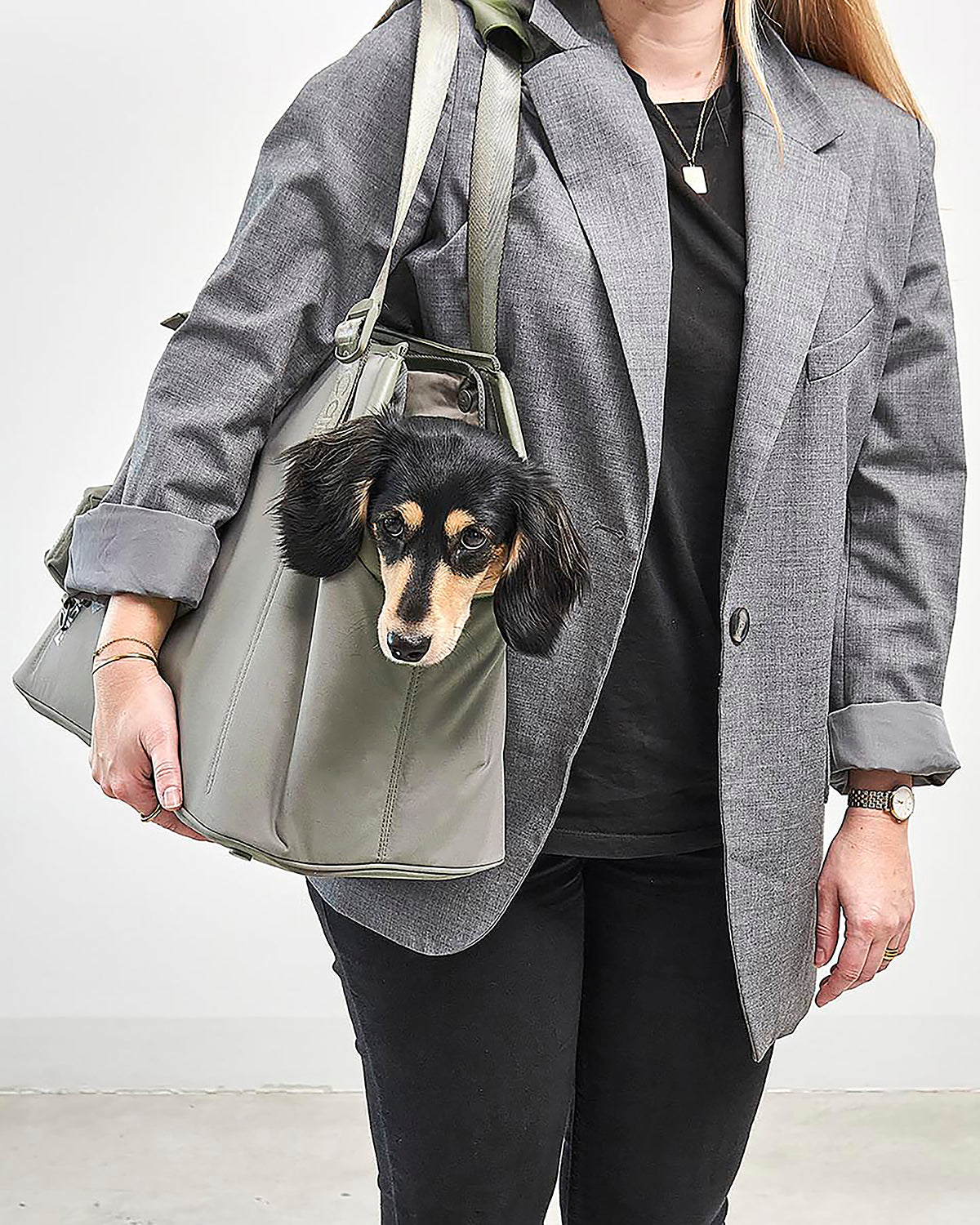 SPORTA DOG CARRIER BAG | תיק נשיאה לכלב