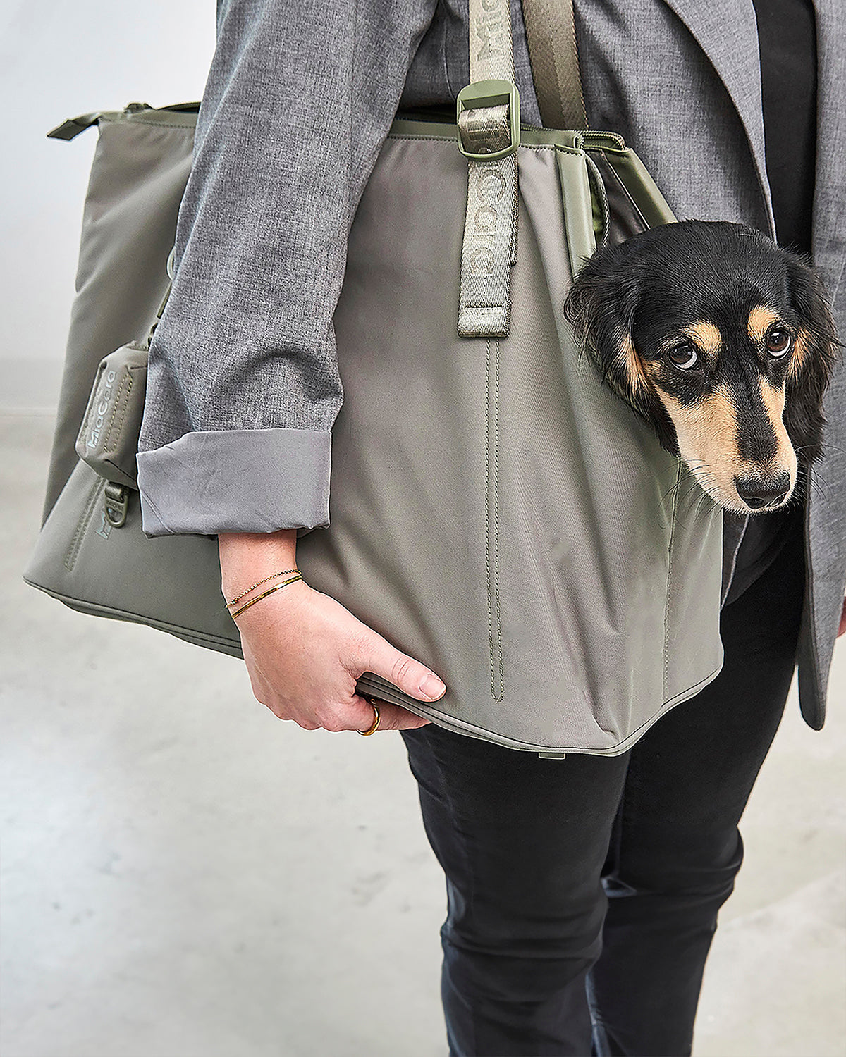 SPORTA DOG CARRIER BAG | תיק נשיאה לכלב