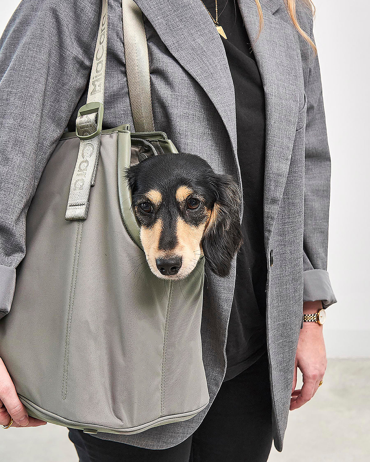 SPORTA DOG CARRIER BAG | תיק נשיאה לכלב