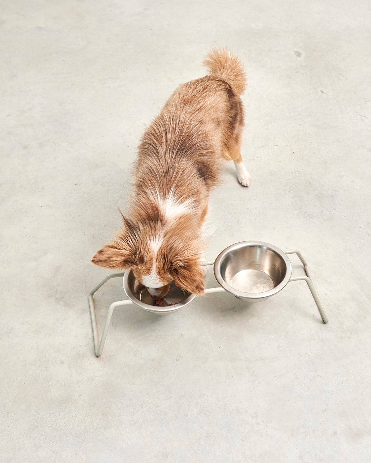 CENA FEEDER STATION | מעמד קערות לכלב