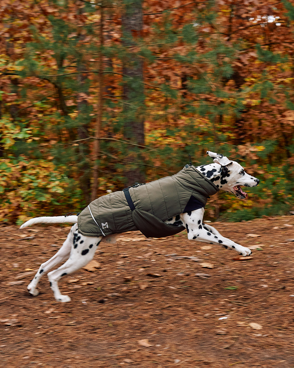 COSIMA DOG WINTER COAT | מעיל חורף לכלב