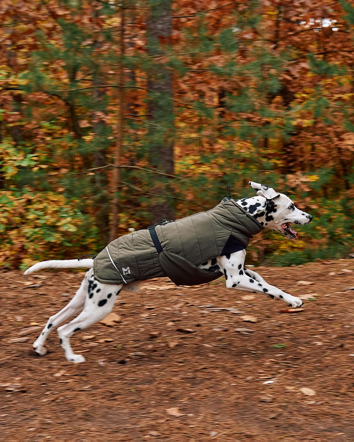 COSIMA DOG WINTER COAT | מעיל חורף לכלב