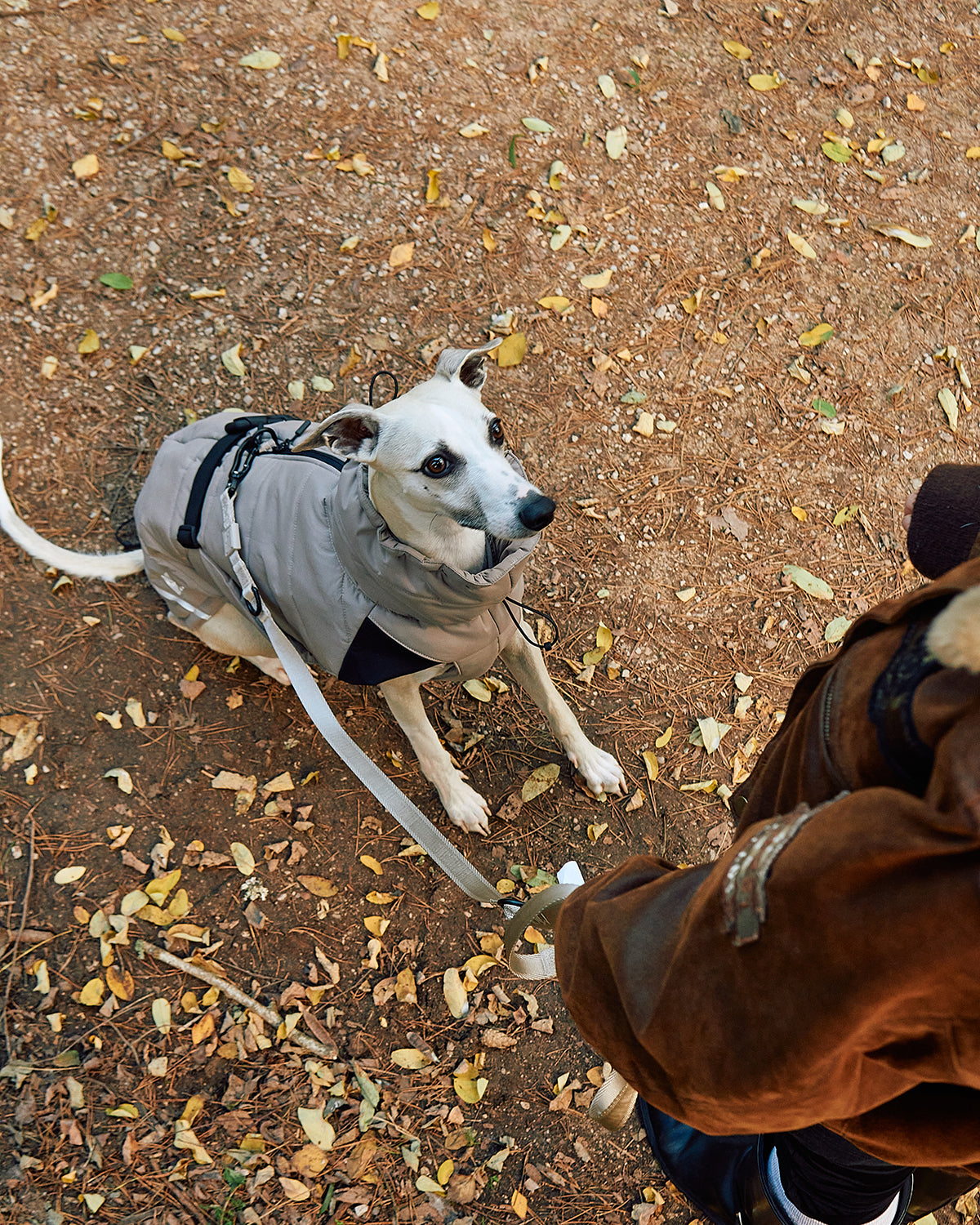 COSIMA DOG WINTER COAT | מעיל חורף לכלב