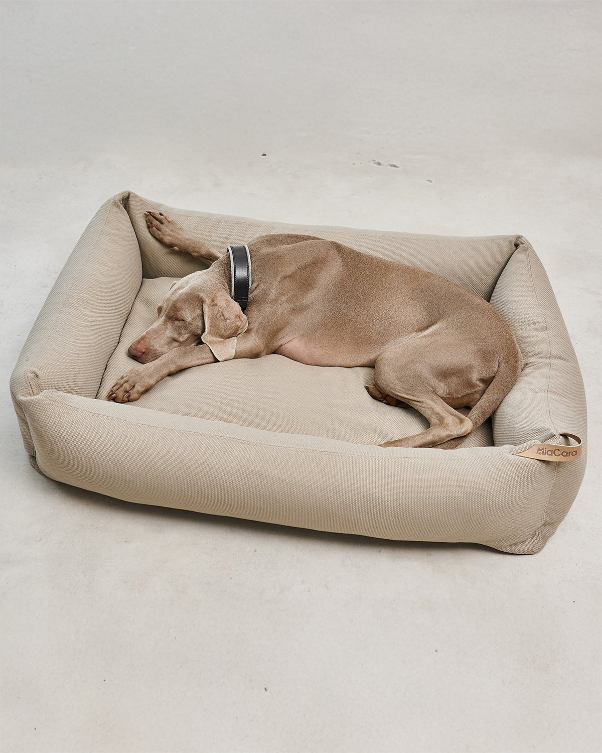 SONNO DOG BOX BED | מיטה אורתופדית לכלב