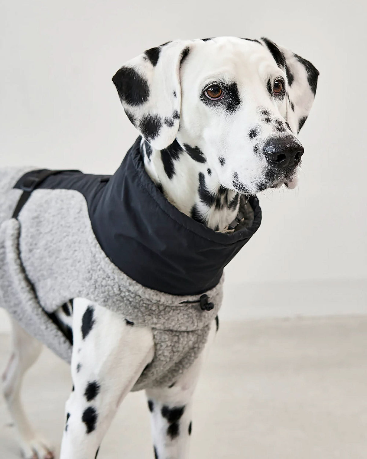 EMILIA DOG COAT | מעיל לכלב