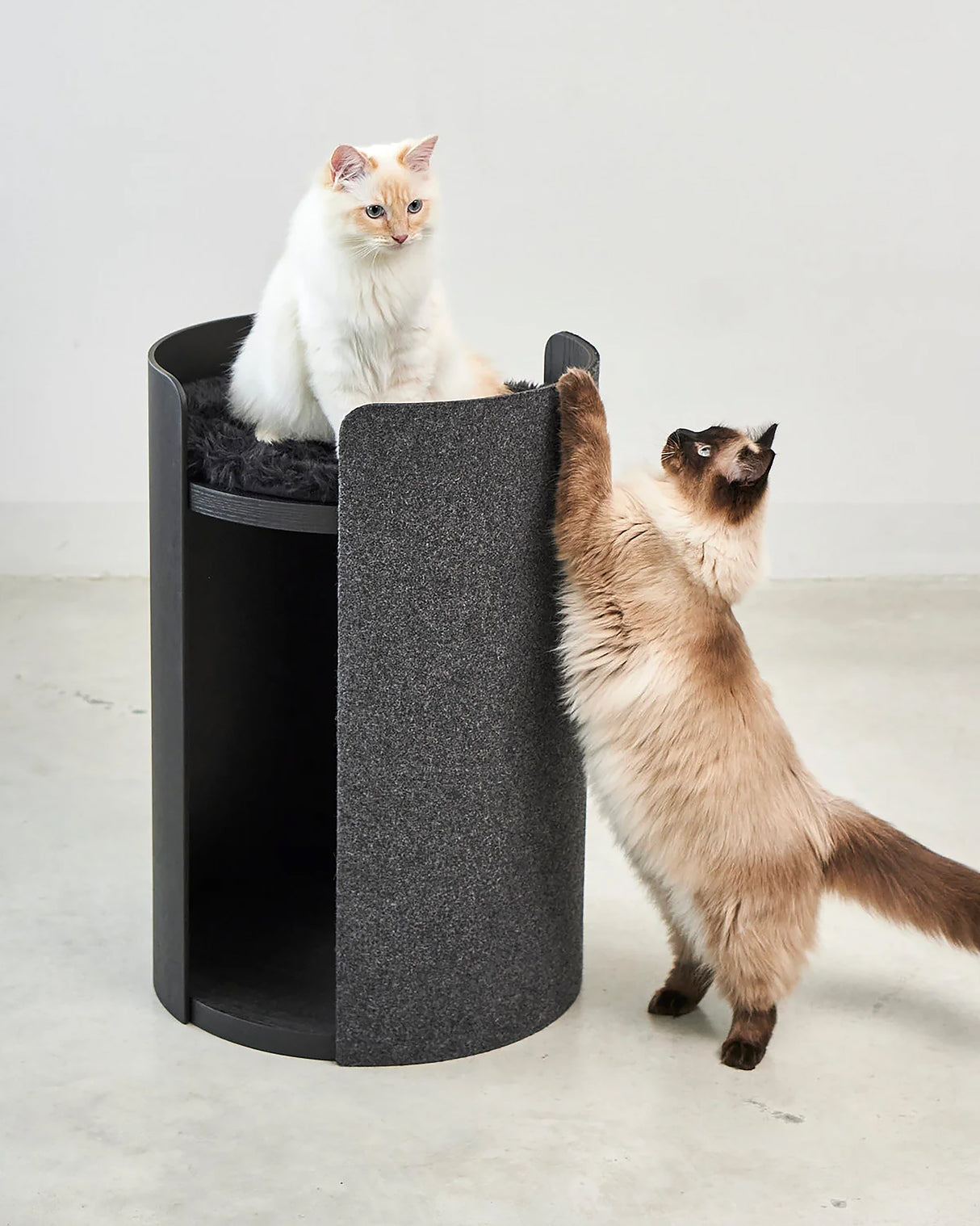 TORRE CLIMBING & SCRATCHING CAT POST | מגדל טיפוס וגירוד לחתולים