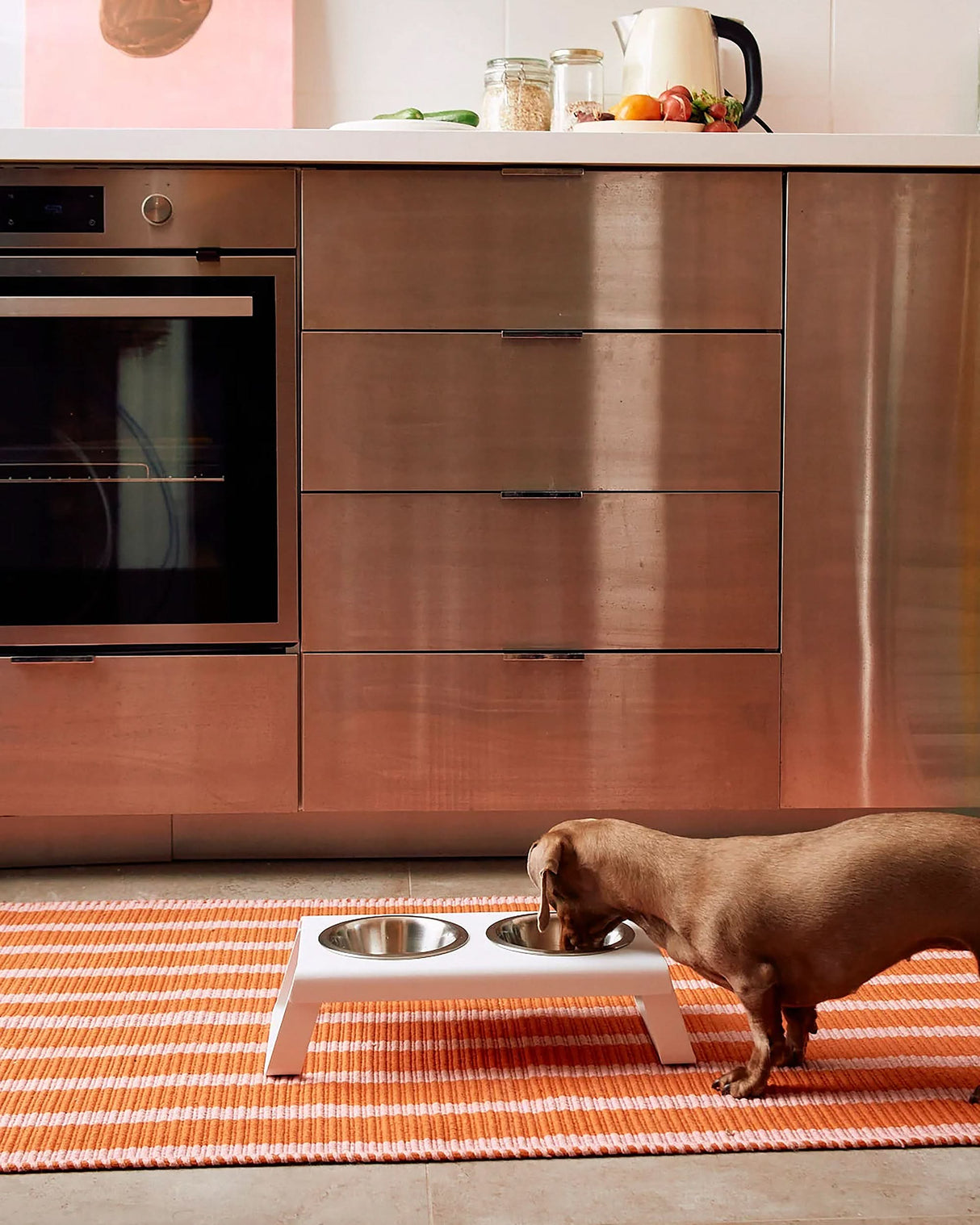 DESCO ALU | מעמד קערות מוגבה לכלב