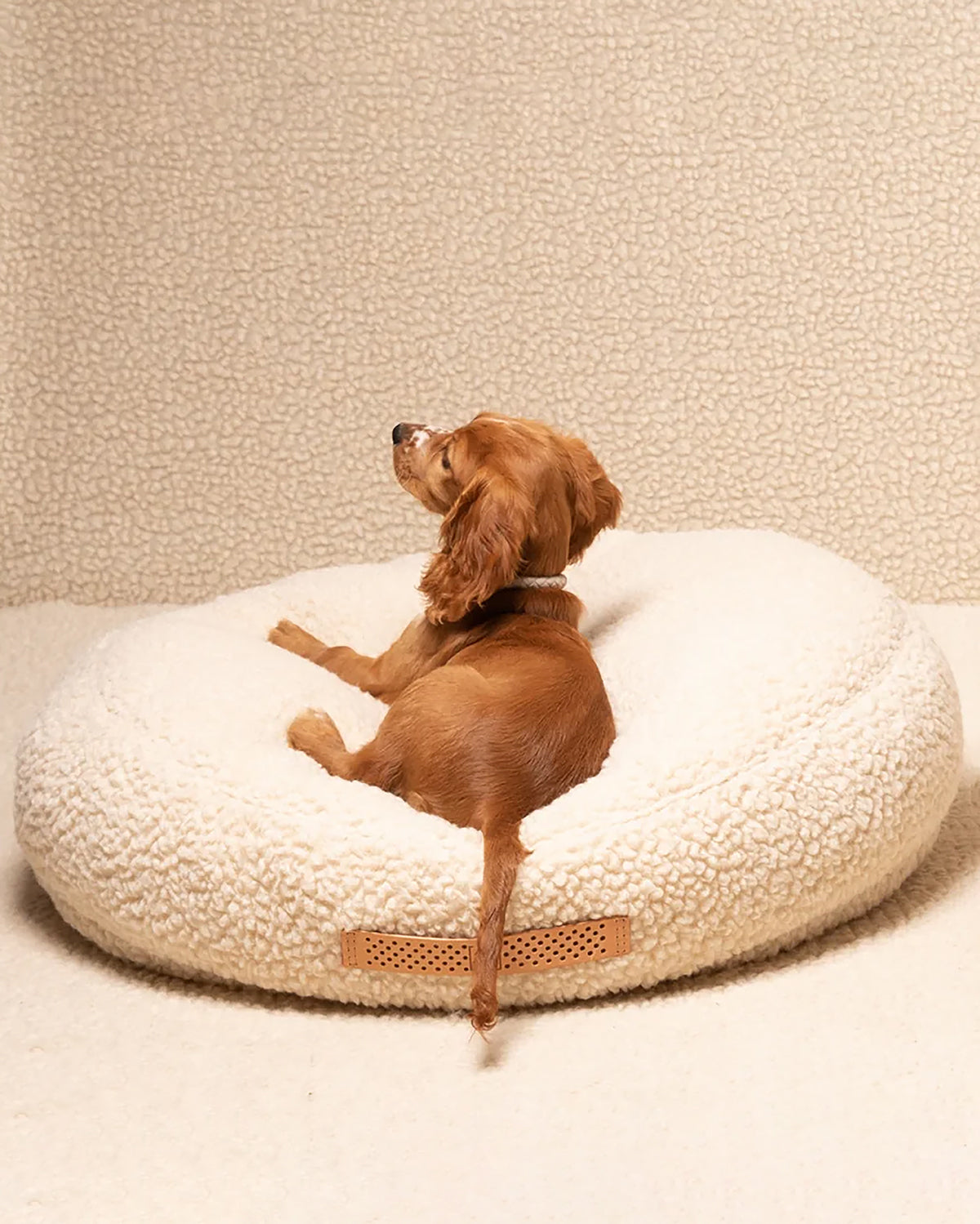 FULVIO BOUCLÉ WOOL BED | מיטת פוף לכלב