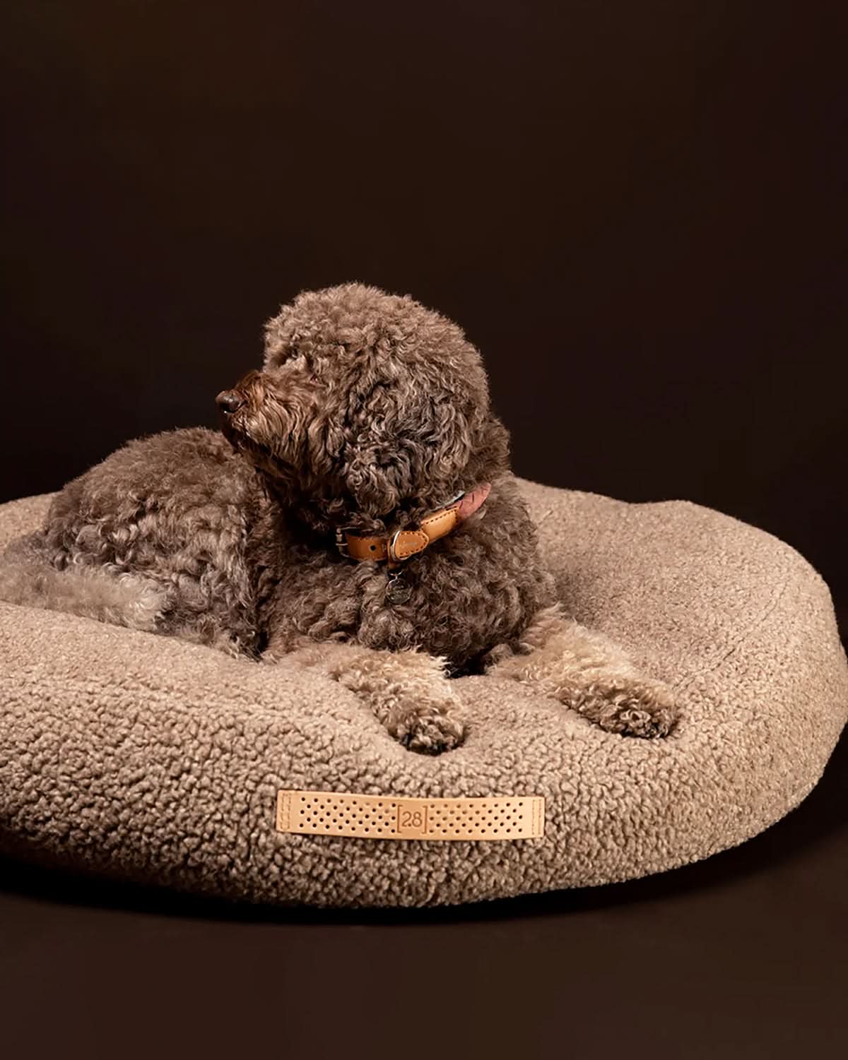 מיטת פוף לכלב