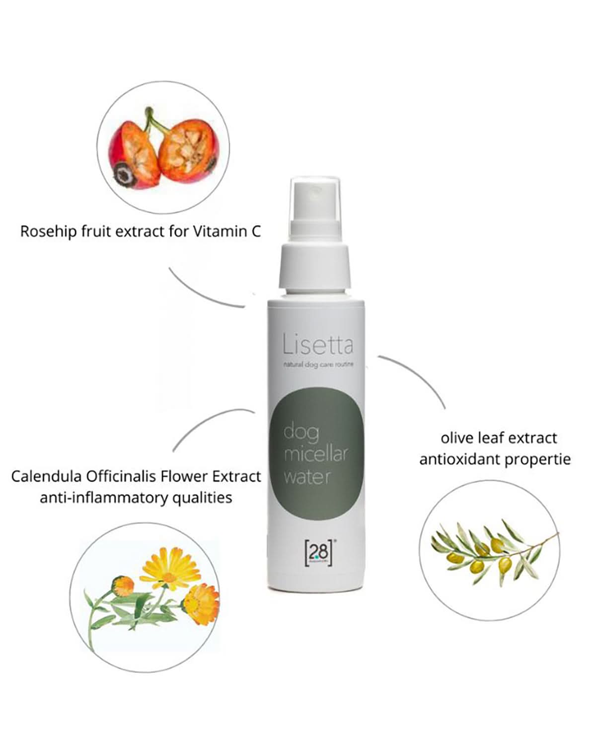 LISETTA DOG MICELLAR WATER | מים מיסלריים לפרוות הכלב