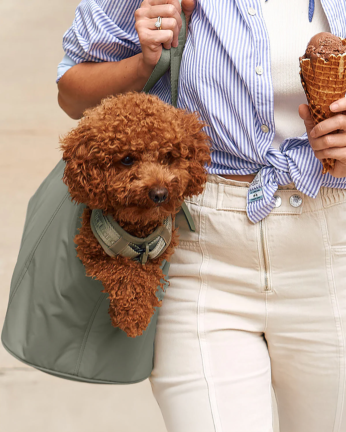 SPORTA DOG CARRIER BAG | תיק נשיאה לכלב