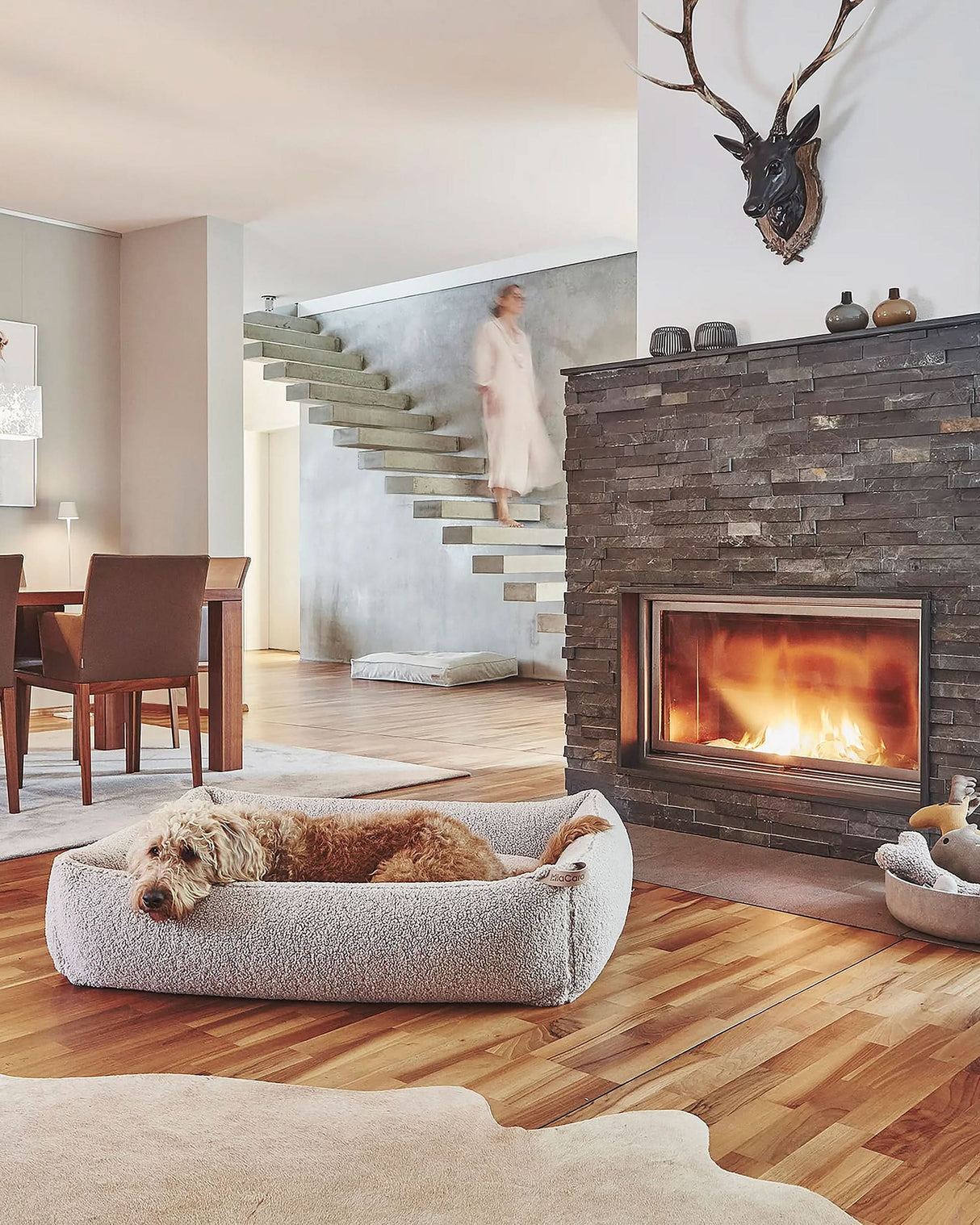 מיטה אורתופדית לכלב | SENSO DOG BOX BED