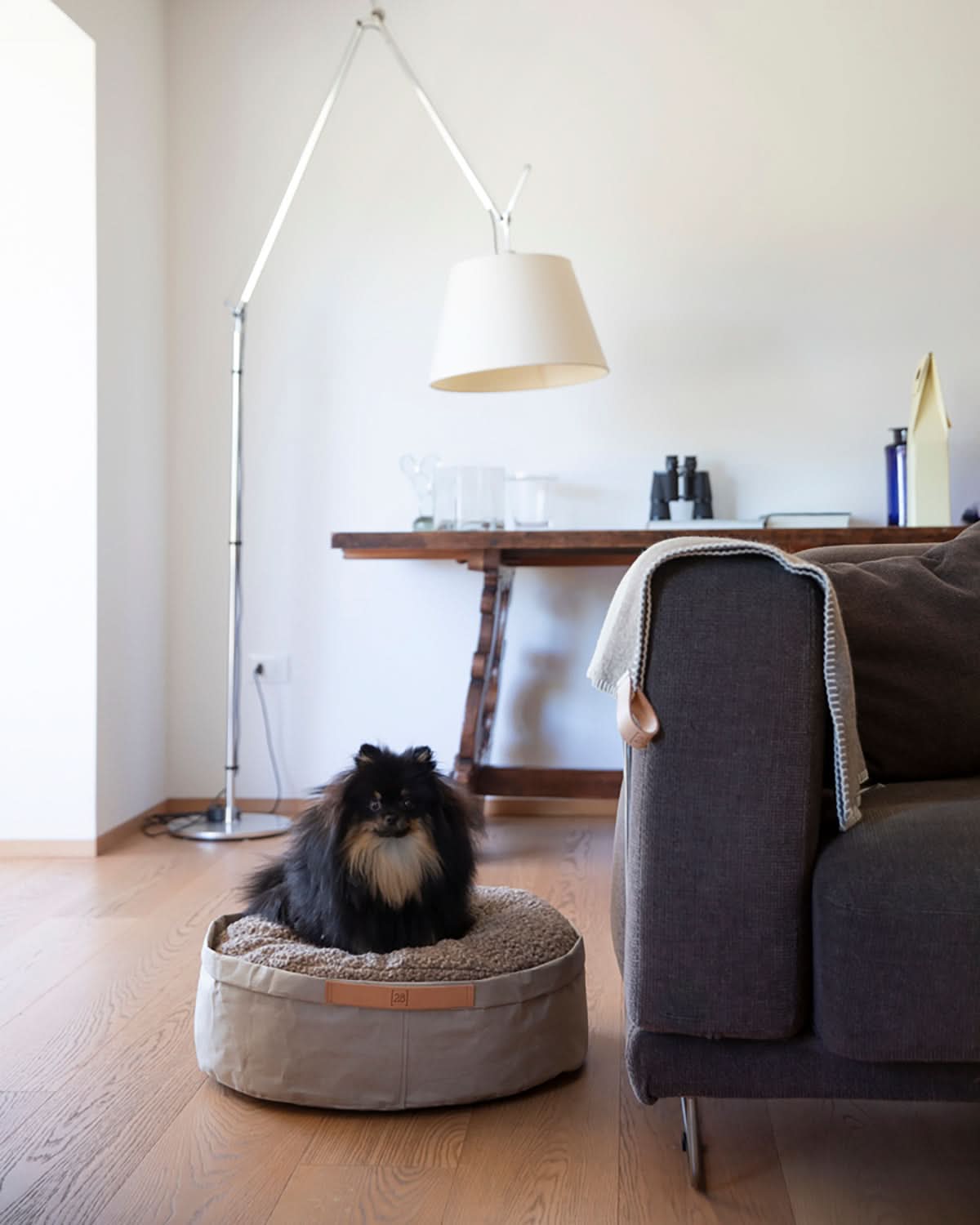 IRVING DOG BED | מיטה לכלב