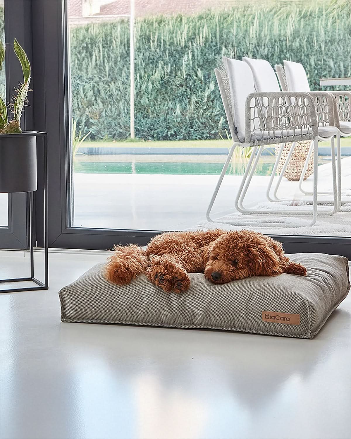 כרית אורטופדית לכלב, מיטה לכלב