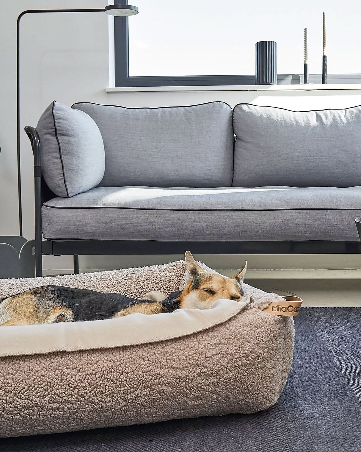 מיטה אורתופדית לכלב | SENSO DOG BOX BED