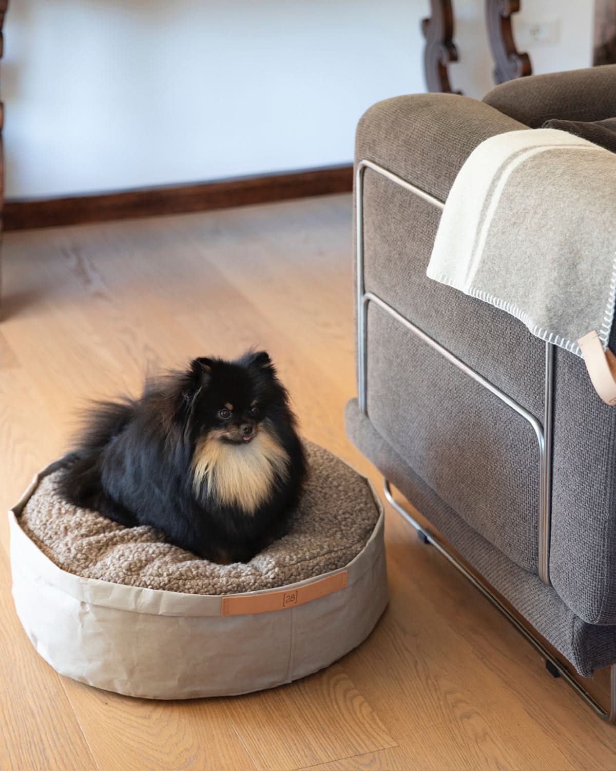 מיטת כלבים וחתולים