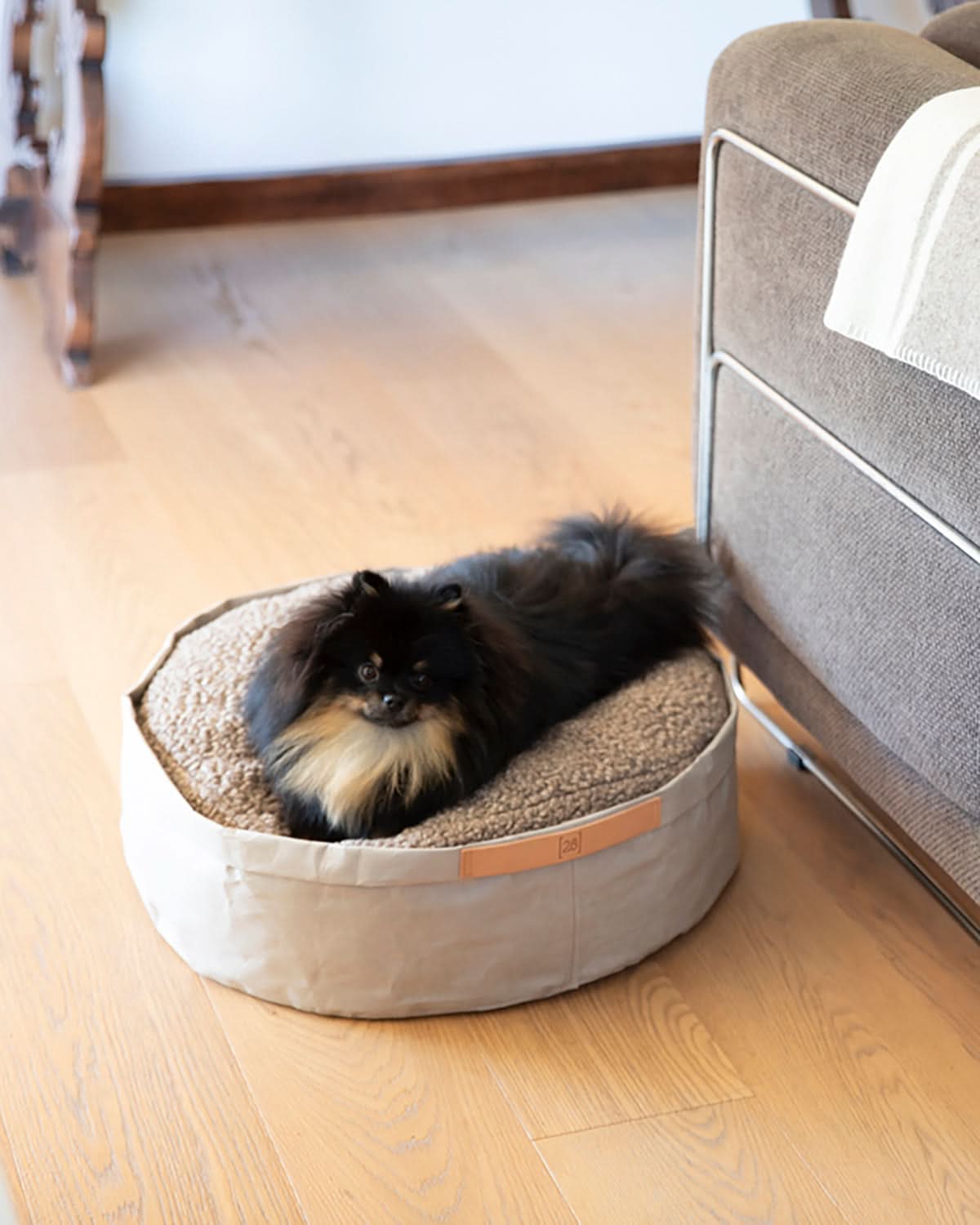 מיטת כלבים וחתולים