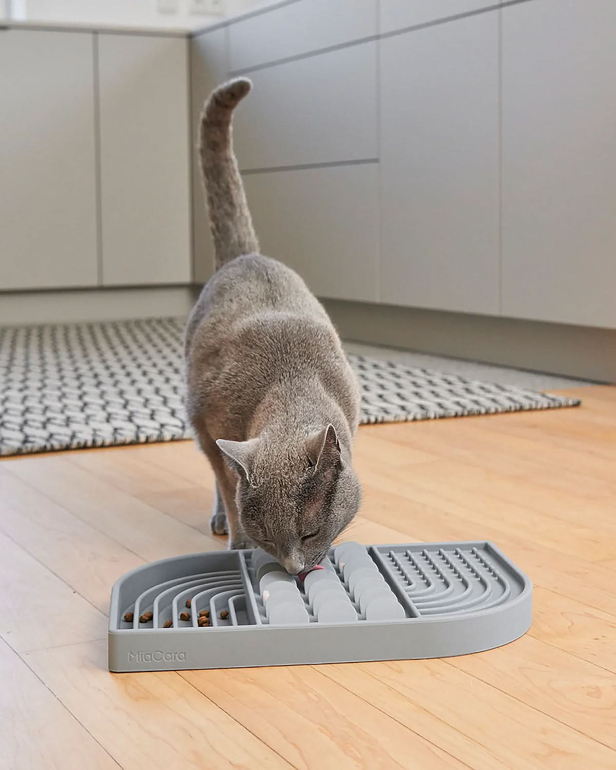 APERITIVO ACTIVITY TOY | משטח ליקוק לכלב ולחתול