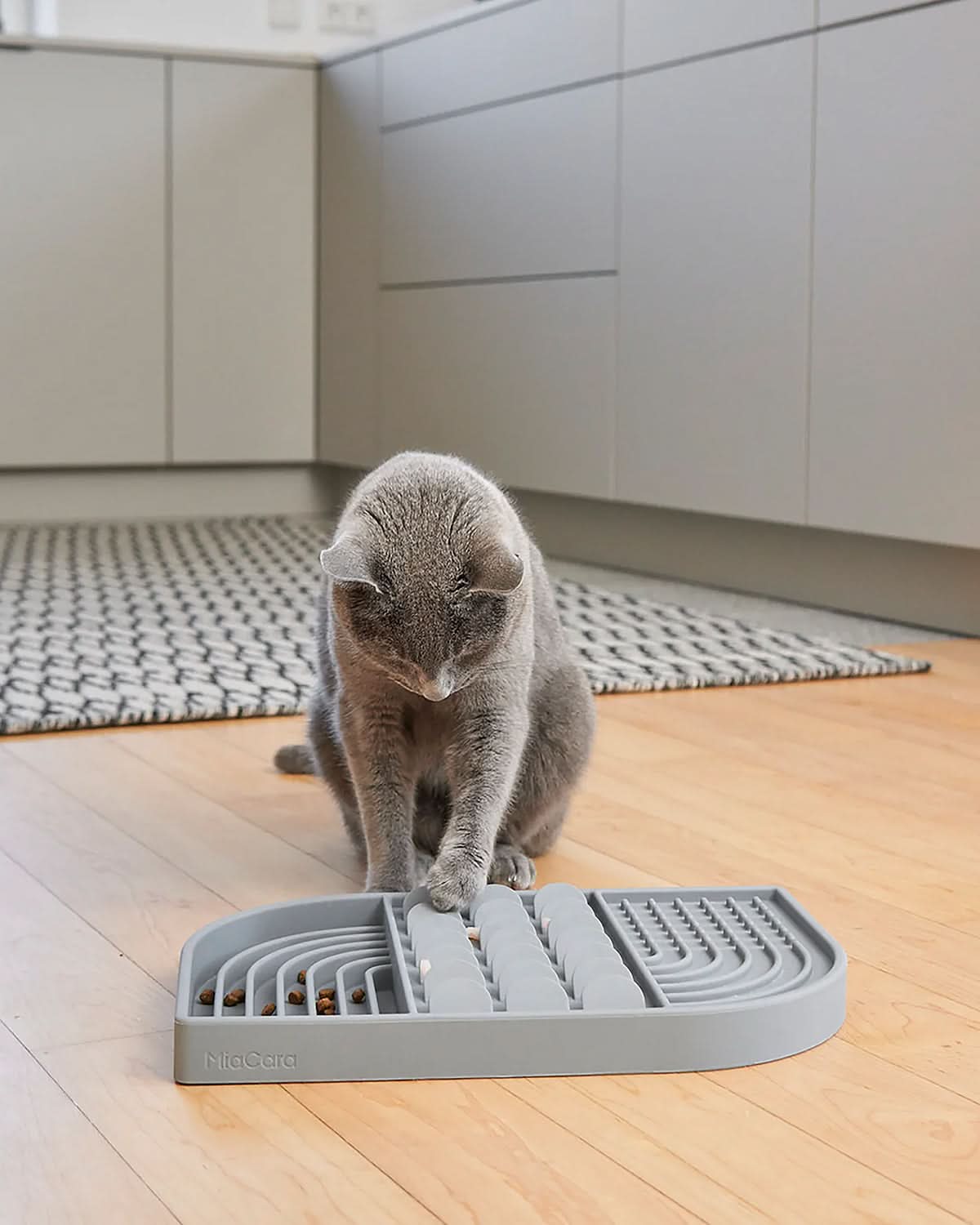 APERITIVO ACTIVITY TOY | משטח ליקוק לכלב ולחתול