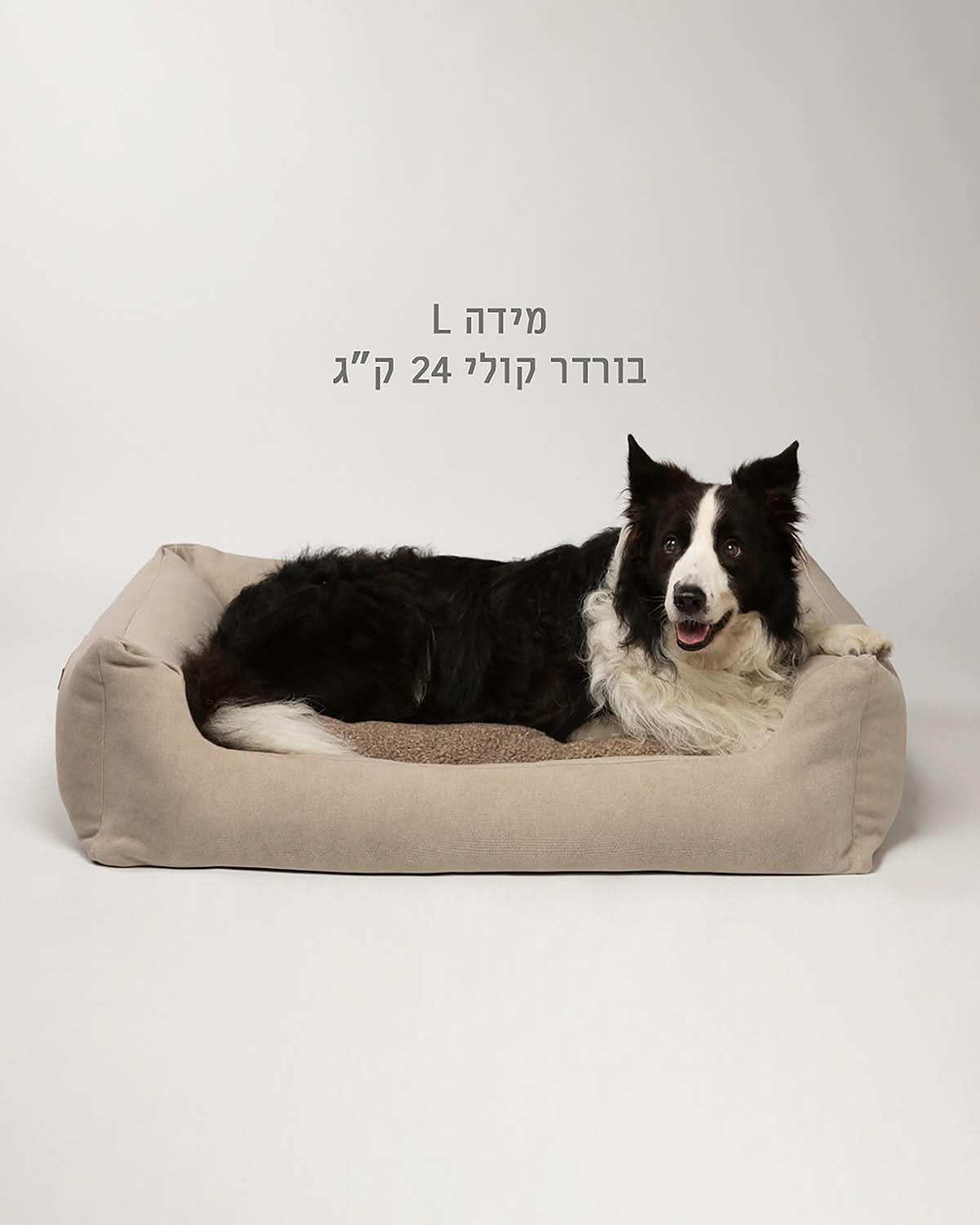 HENRI BOUCLÉ WOOL DOG BED | מיטה לכלב