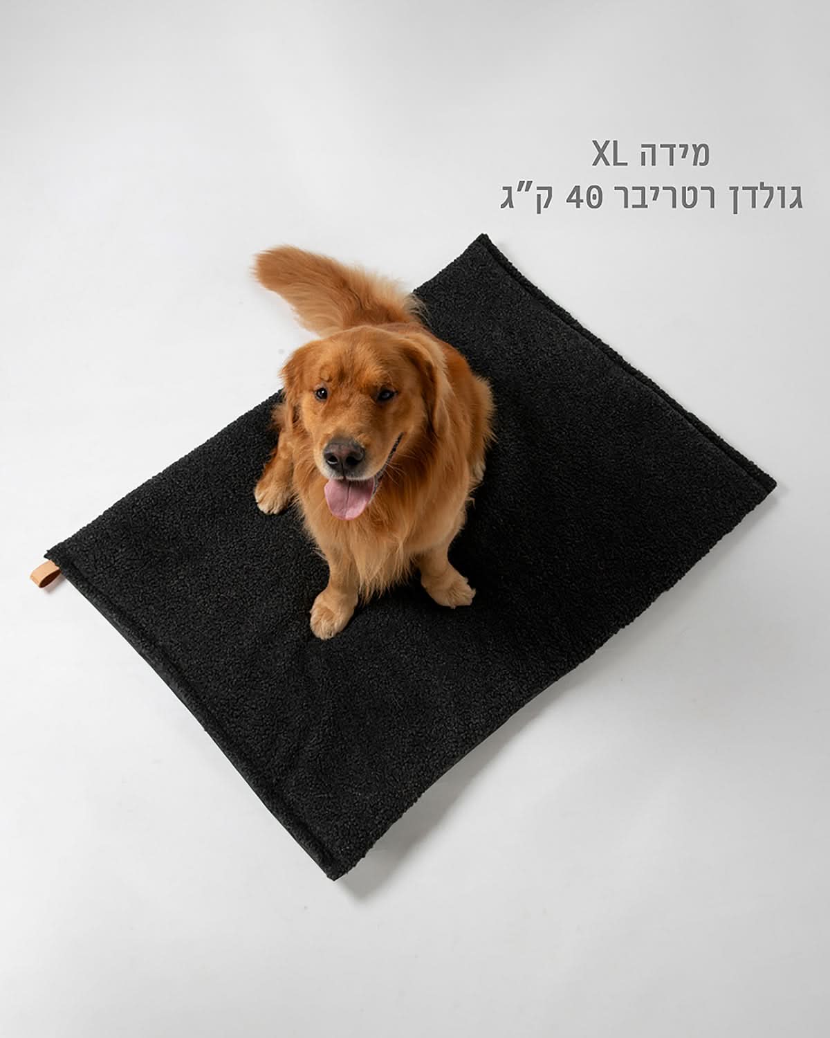 RICHARD SLIM DOG CUSHION | כרית לכלב