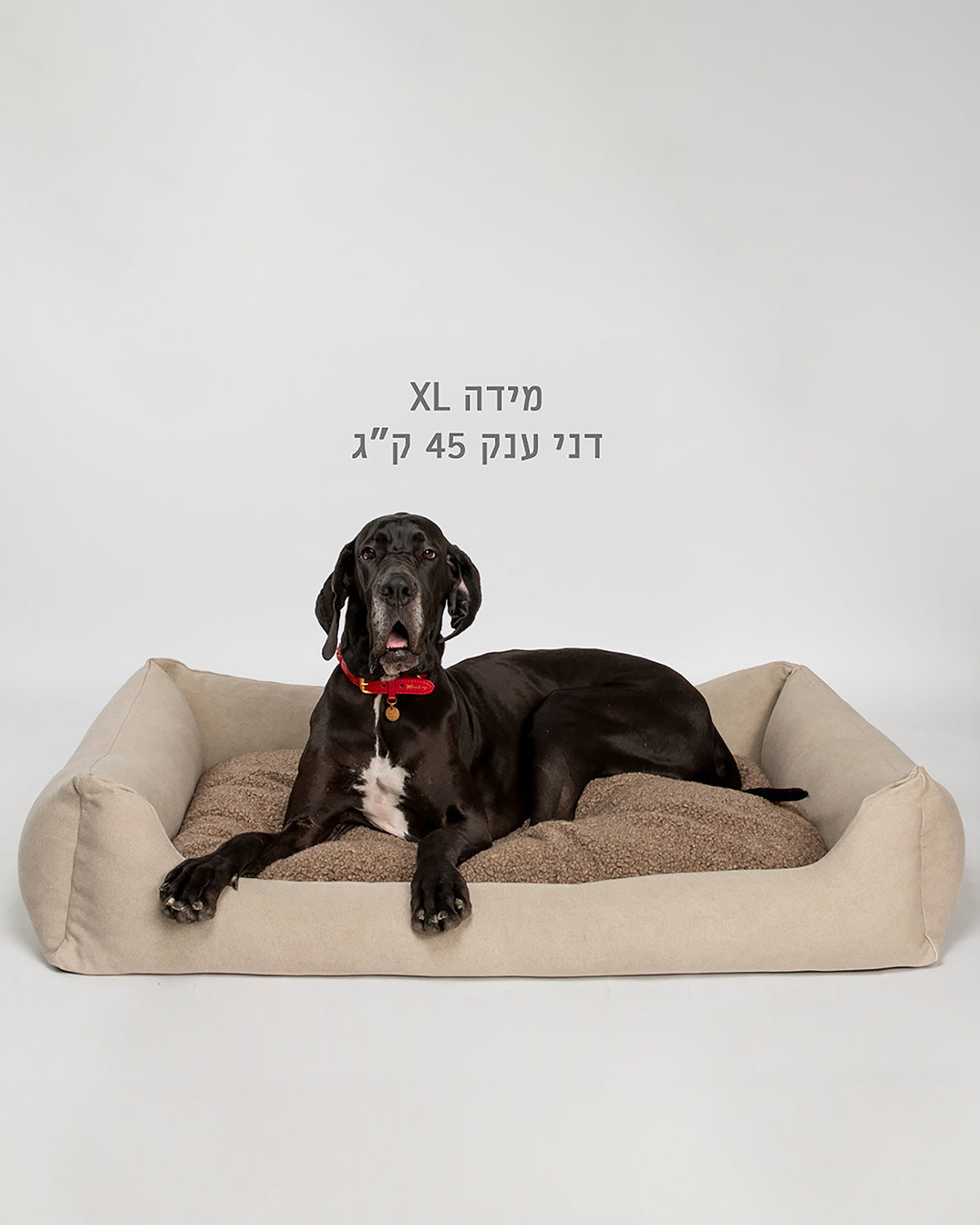 מיטת עור פרה הנרי | מיטה לכלב