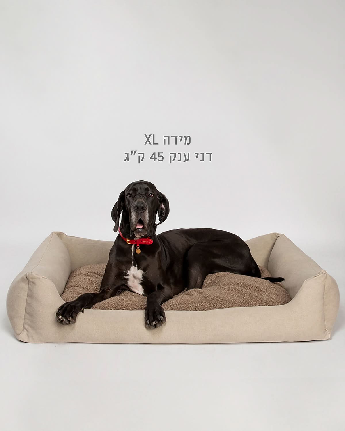 HENRI COWHIDE DOG BED | מיטה לכלב