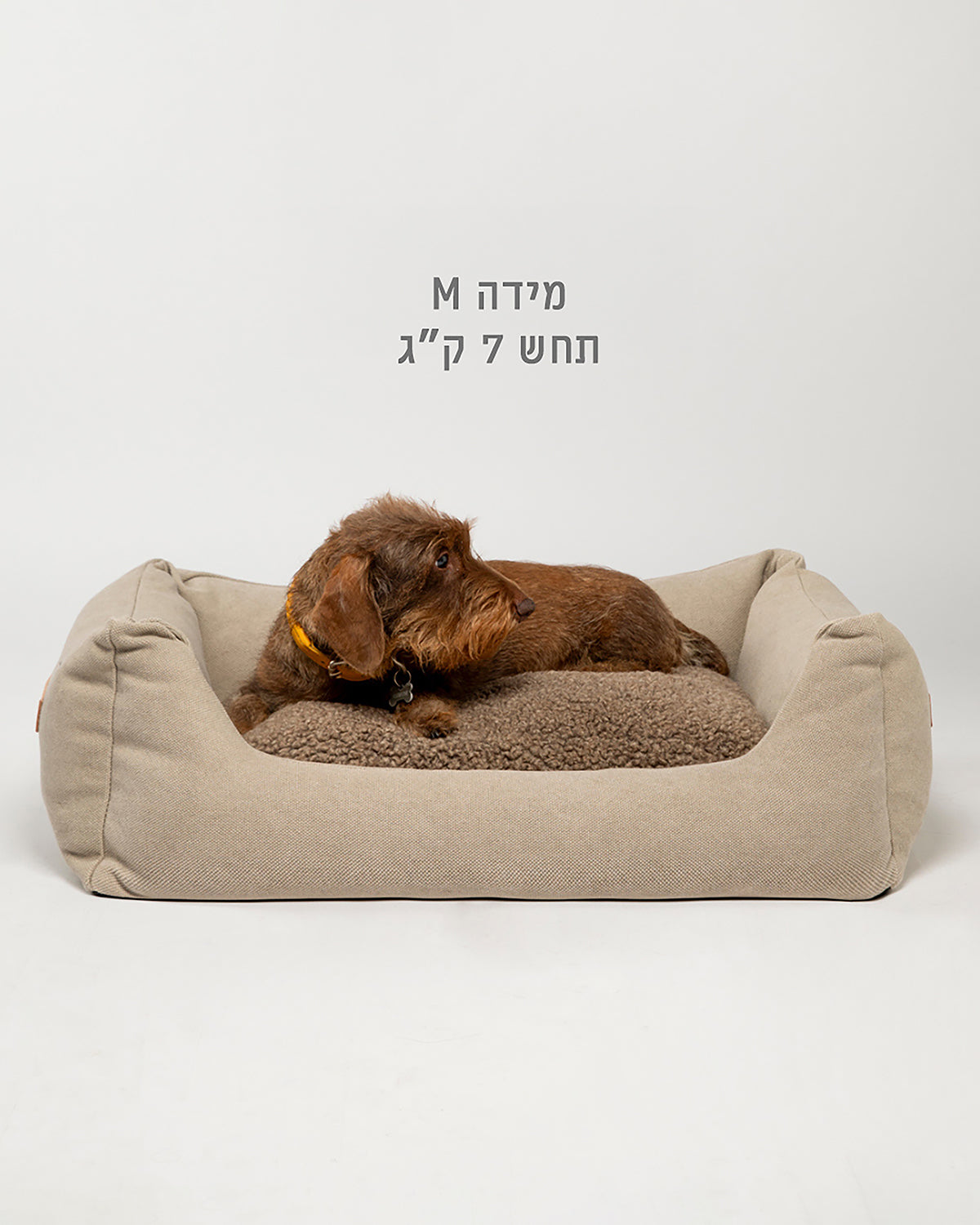 HENRI COWHIDE BED | מיטה לכלב