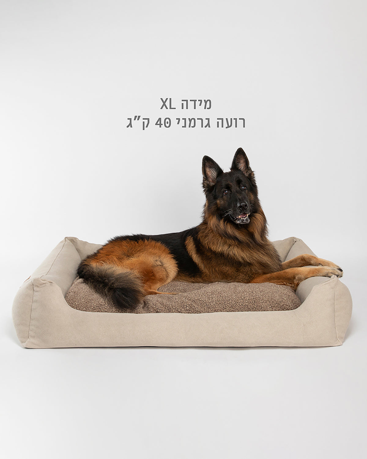 HENRI COWHIDE BED | מיטה לכלב