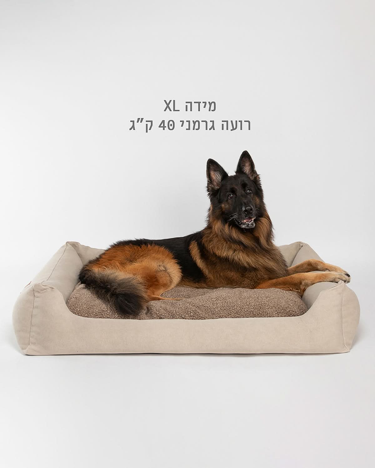 HENRI COWHIDE DOG BED | מיטה לכלב