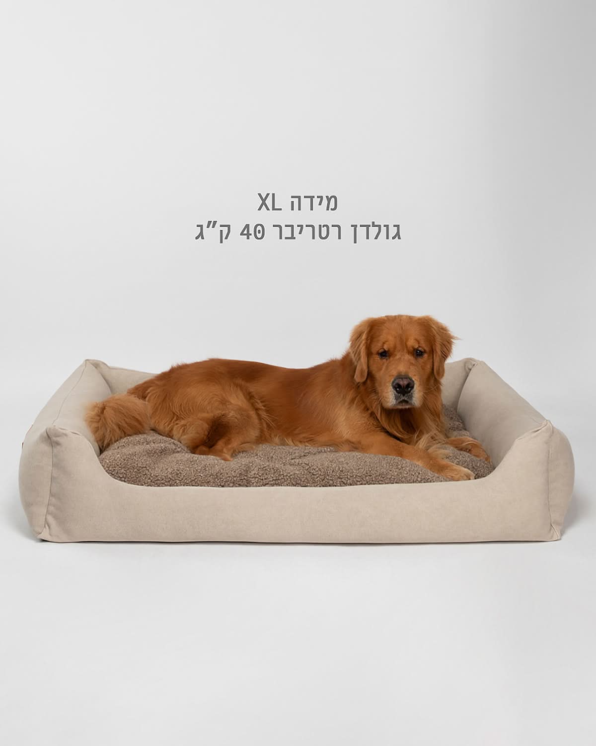 HENRI BOUCLÉ WOOL DOG BED | מיטה לכלב