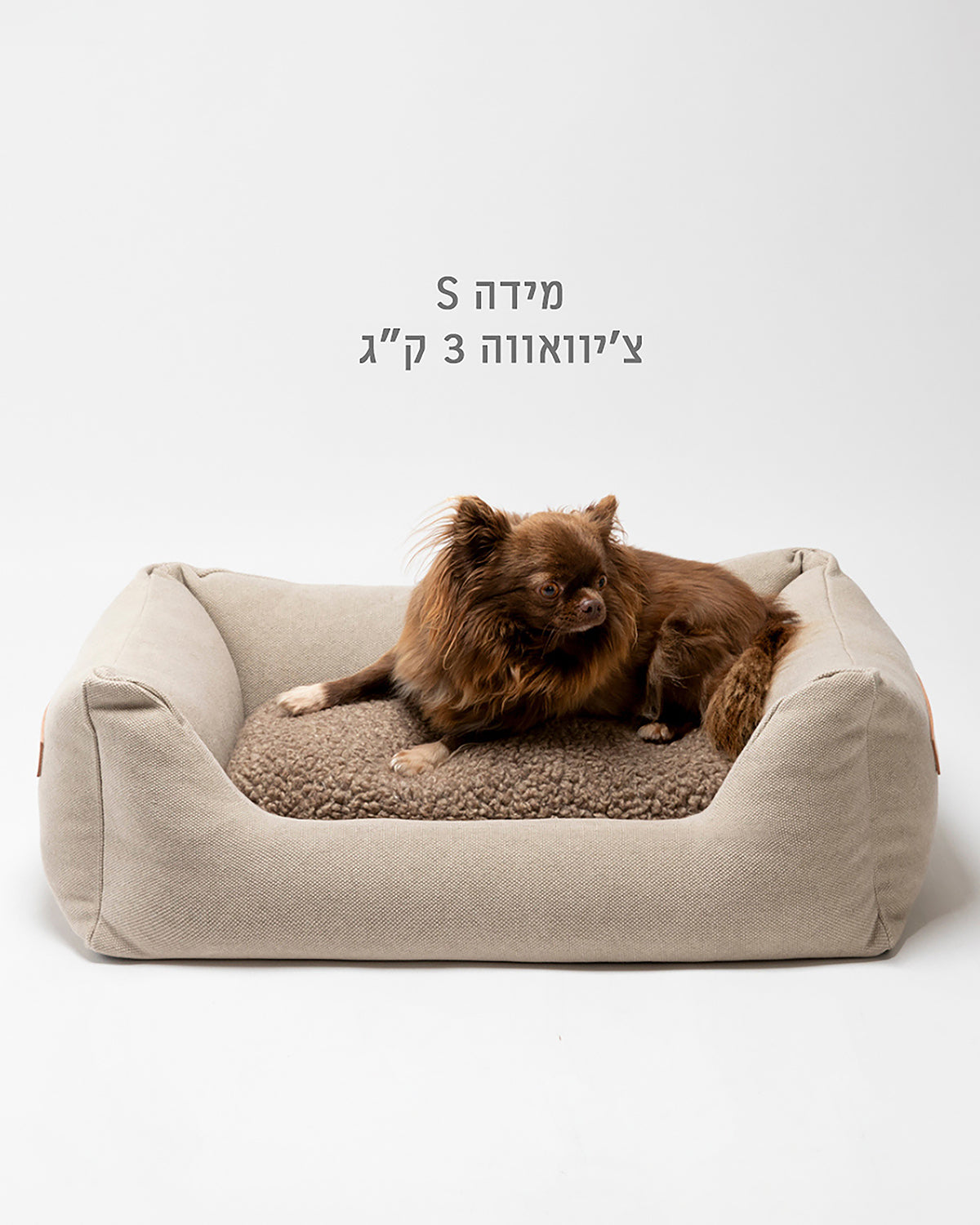 HENRI COTTON CANVAS BED | מיטה לכלב