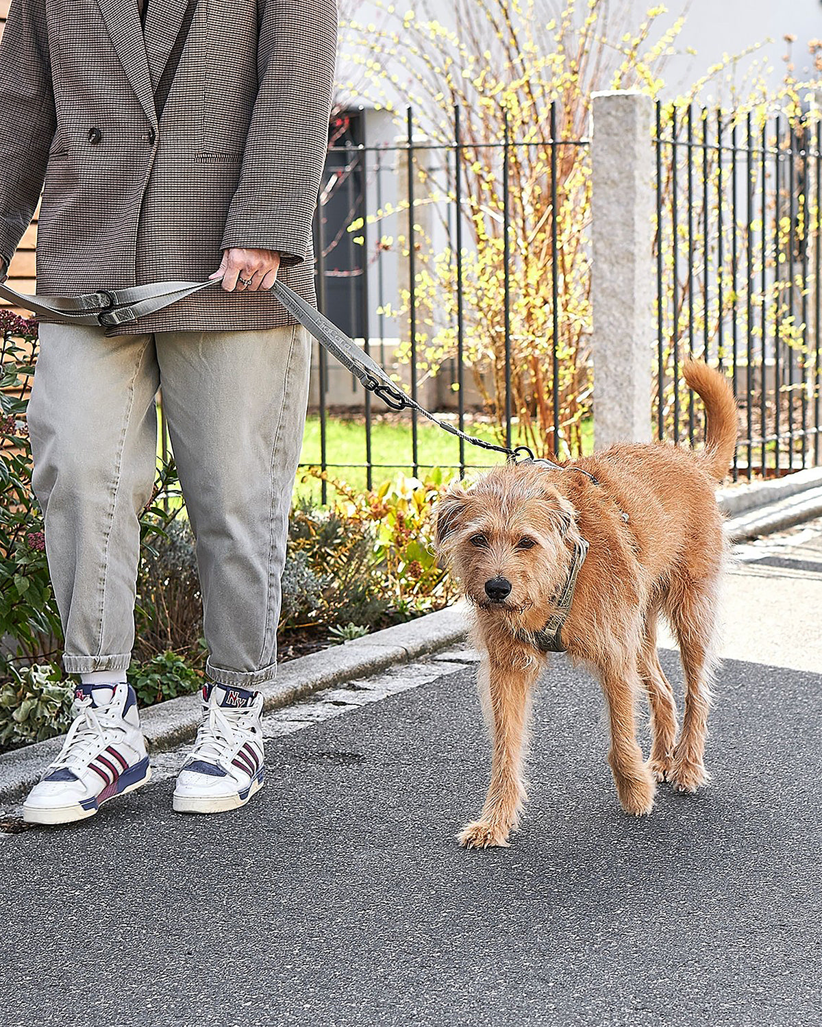 MODENA LONG LEAD | רצועה מתכווננת לכלב