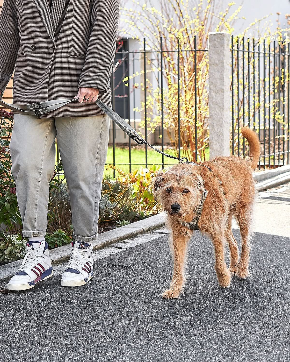 MODENA ADJUSTABLE LEASH | רצועה מתכווננת לכלב