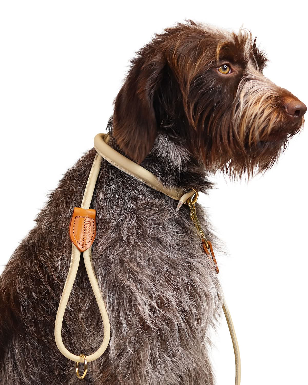 ROLLED SOFT LEATHER LEASH | רצועת עור לכלב