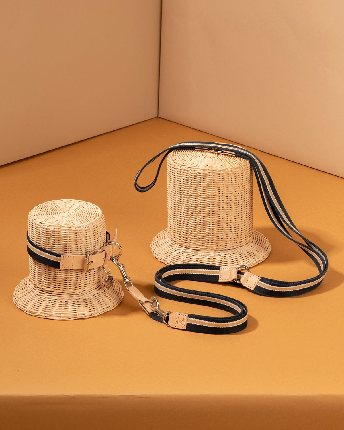 רצועות ארוכות לכלבים