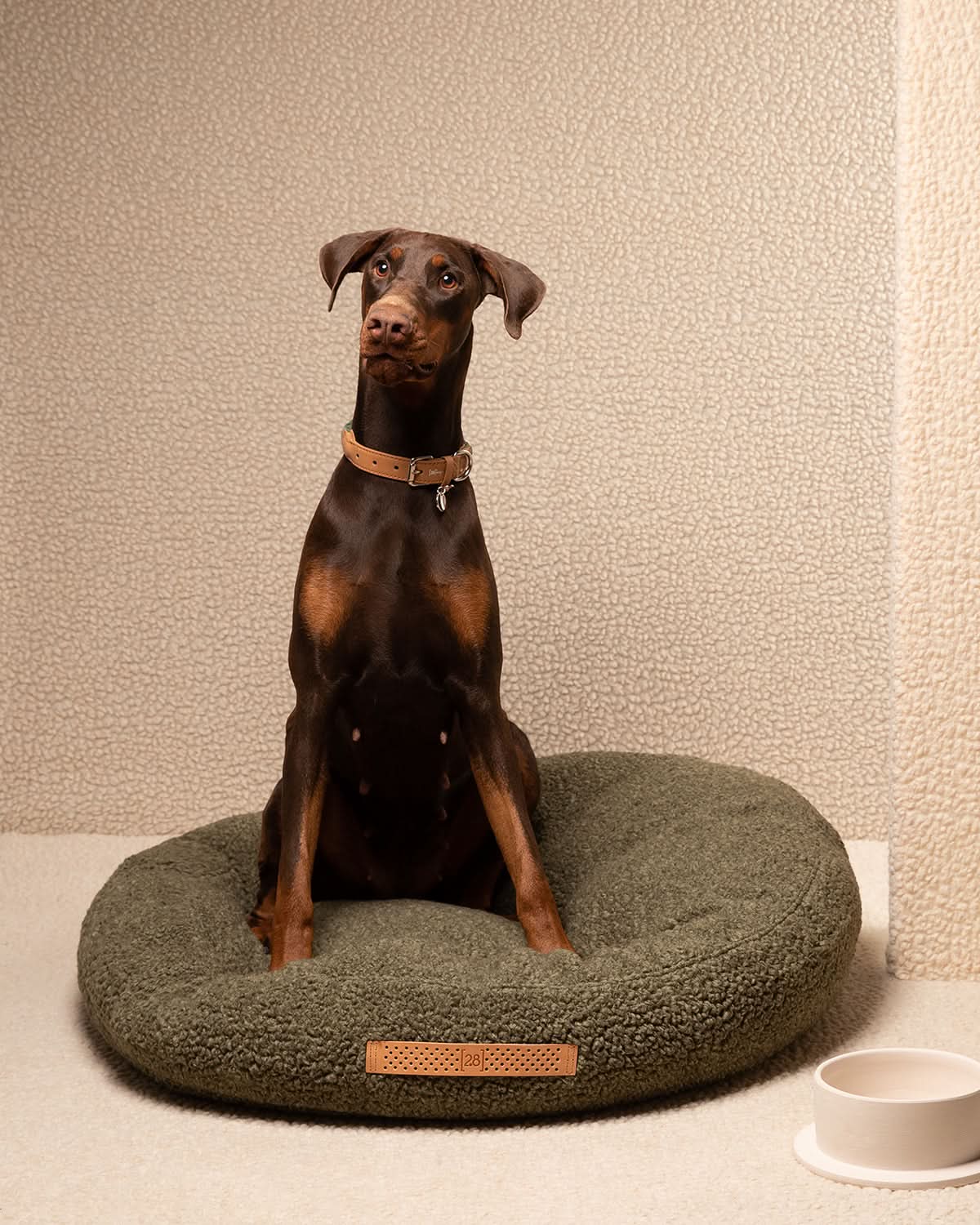 מיטת פוף לכלב