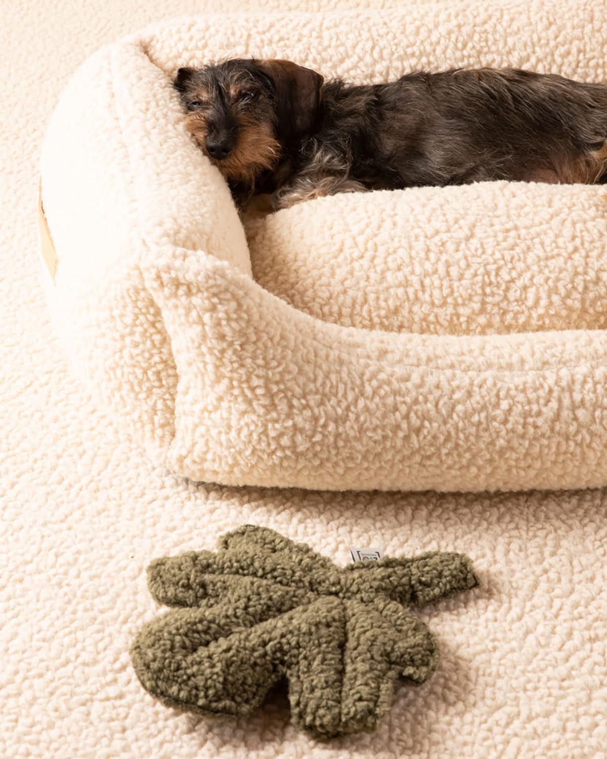 HENRI BOUCLÉ WOOL DOG BED | מיטה לכלב