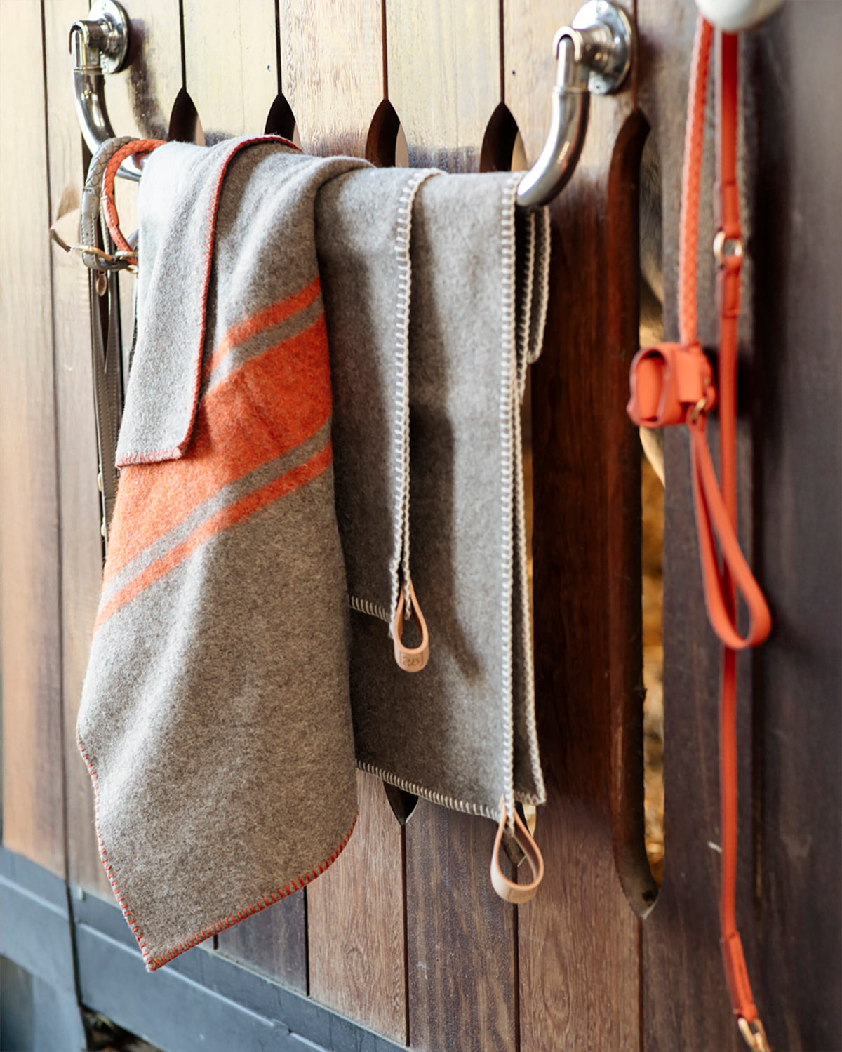 שמיכות צמר לכלב, שמיכות צמר לחתולים