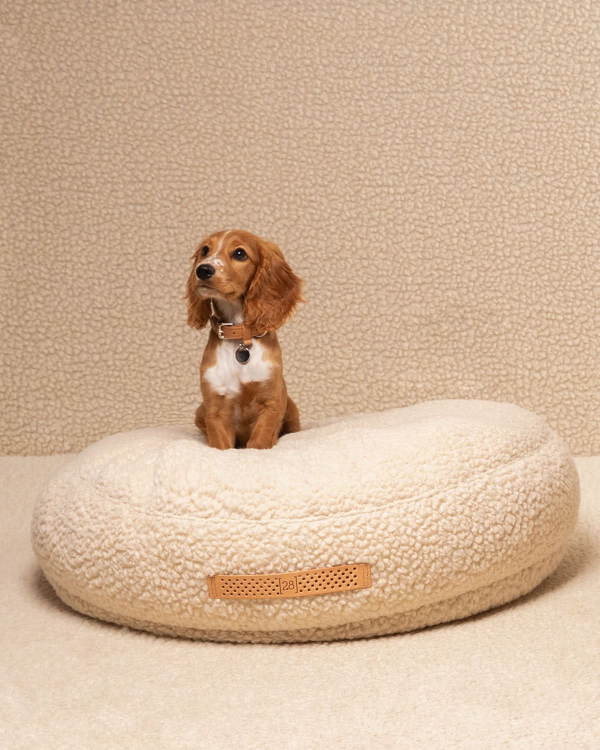 FULVIO BOUCLÉ WOOL BED | מיטת פוף לכלב