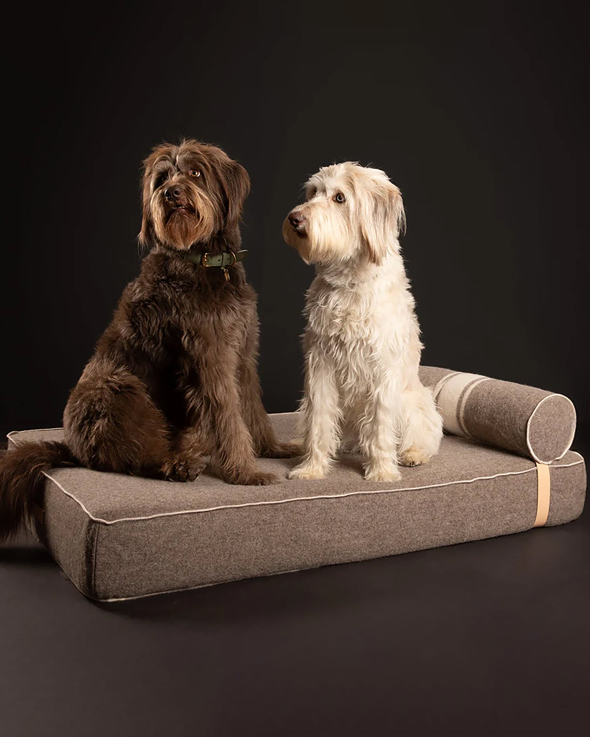 GIAMPAOLO RECYCLED WOOL DOG LOUNGE BED | מיטת לאונג׳ לכלב