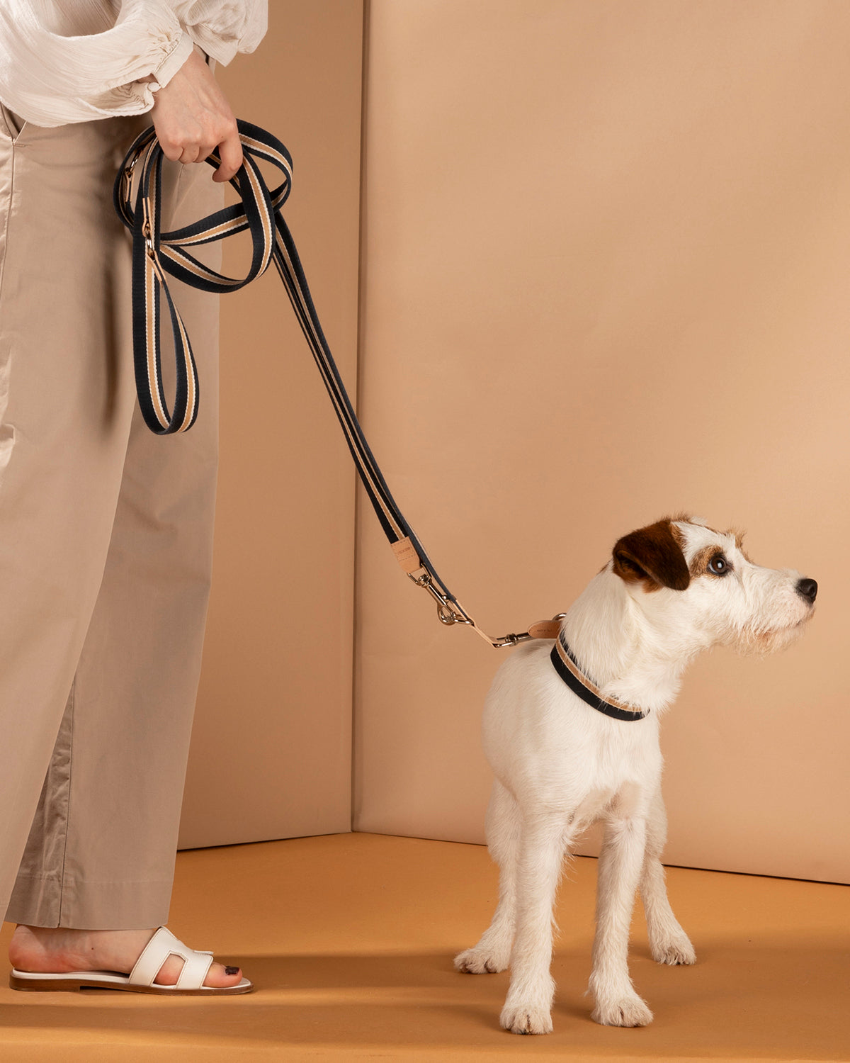 רצועות ארוכות לכלבים