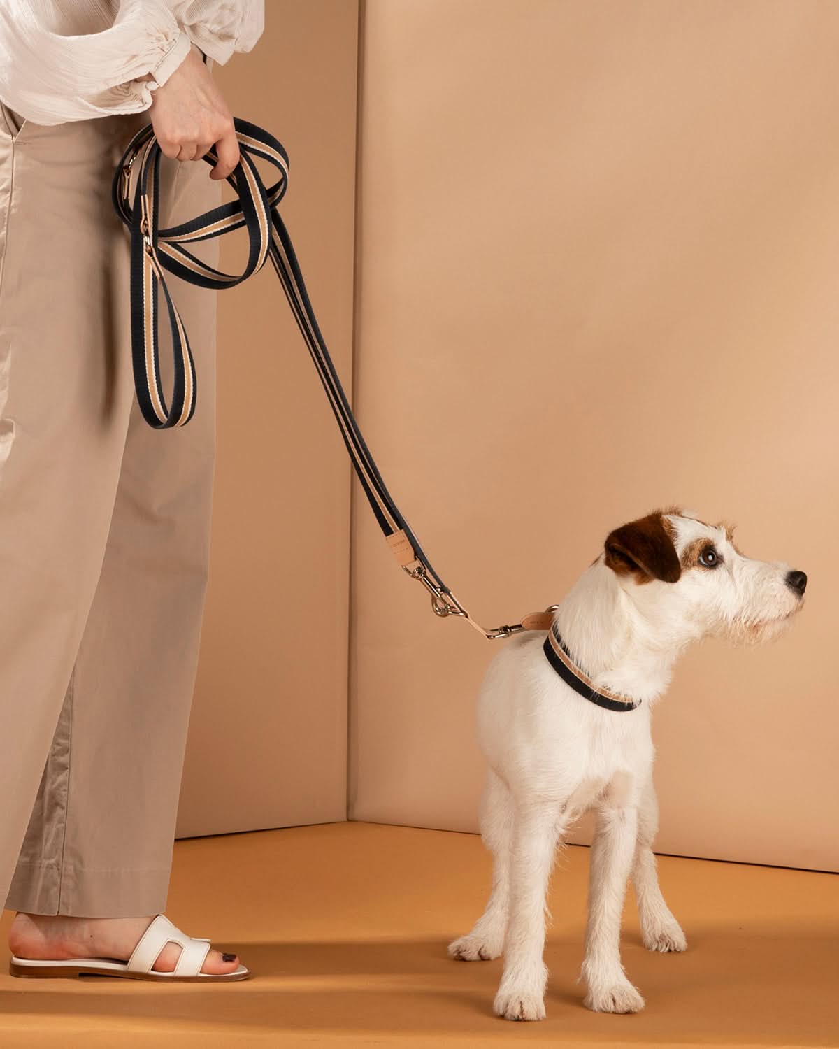 רצועות ארוכות לכלבים