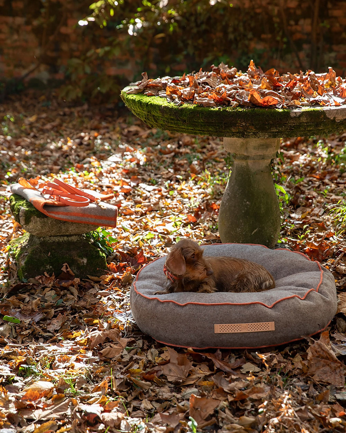 FULVIO RECYCLED WOOL | מיטת פוף לכלב