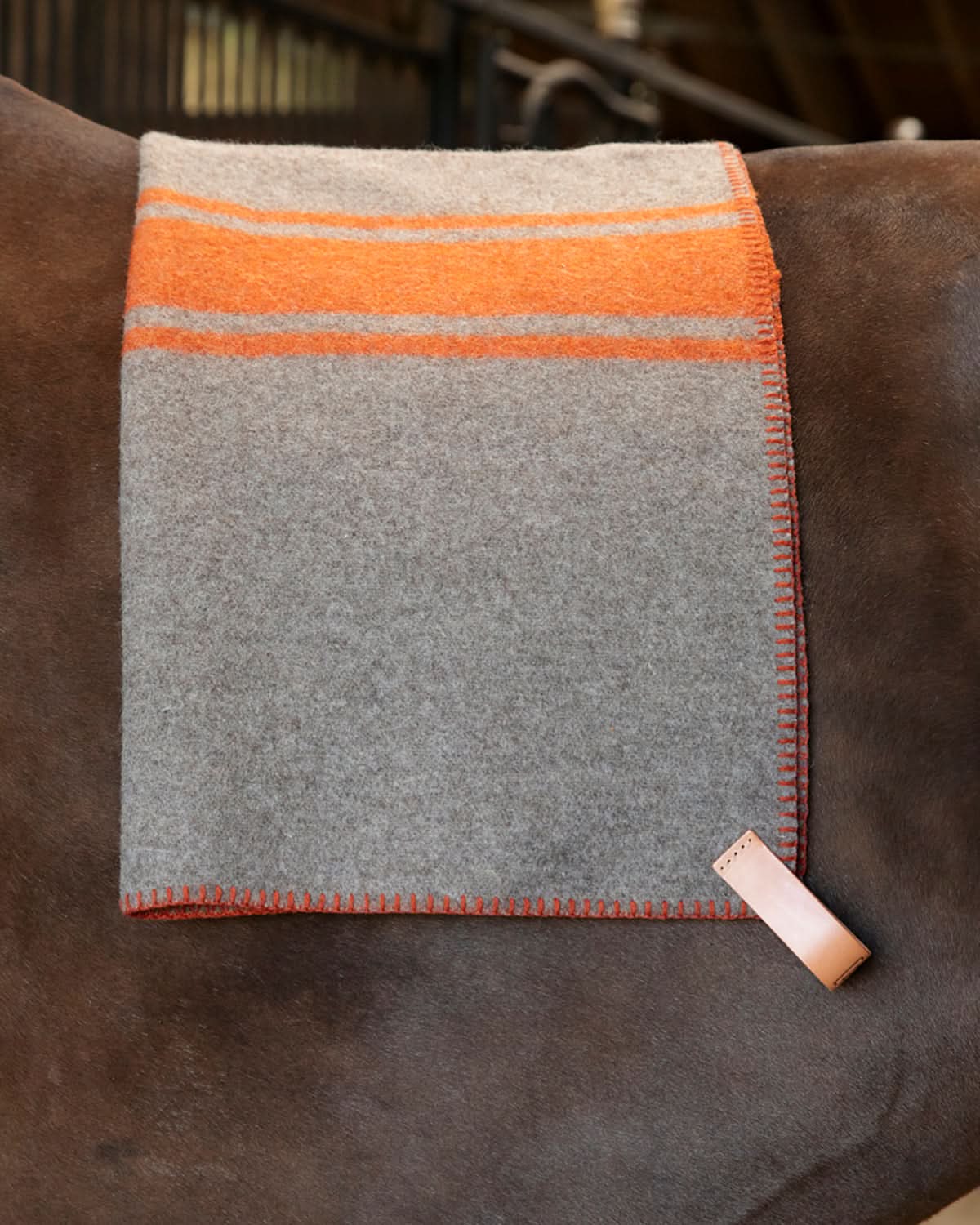 שמיכות צמר לכלב, שמיכות צמר לחתולים